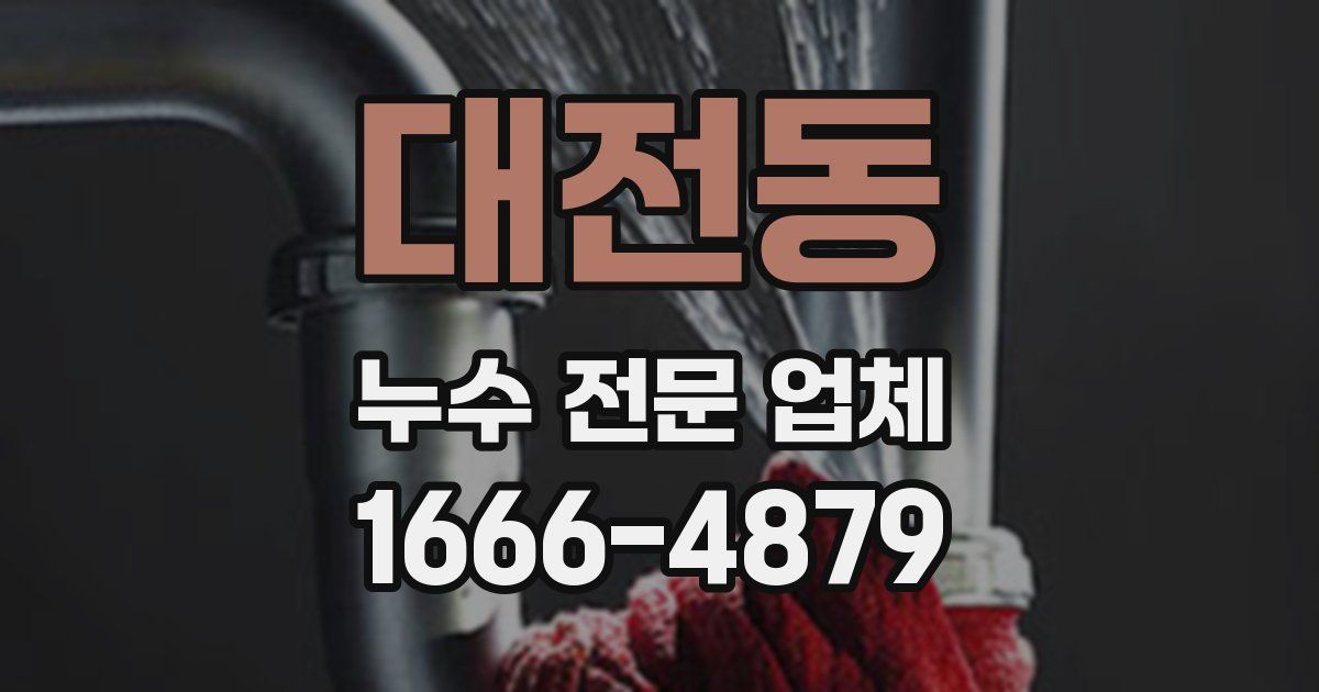 대전동 누수 전문 업체