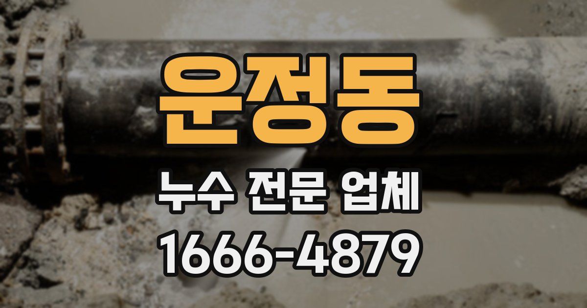 운정동 누수 전문 업체
