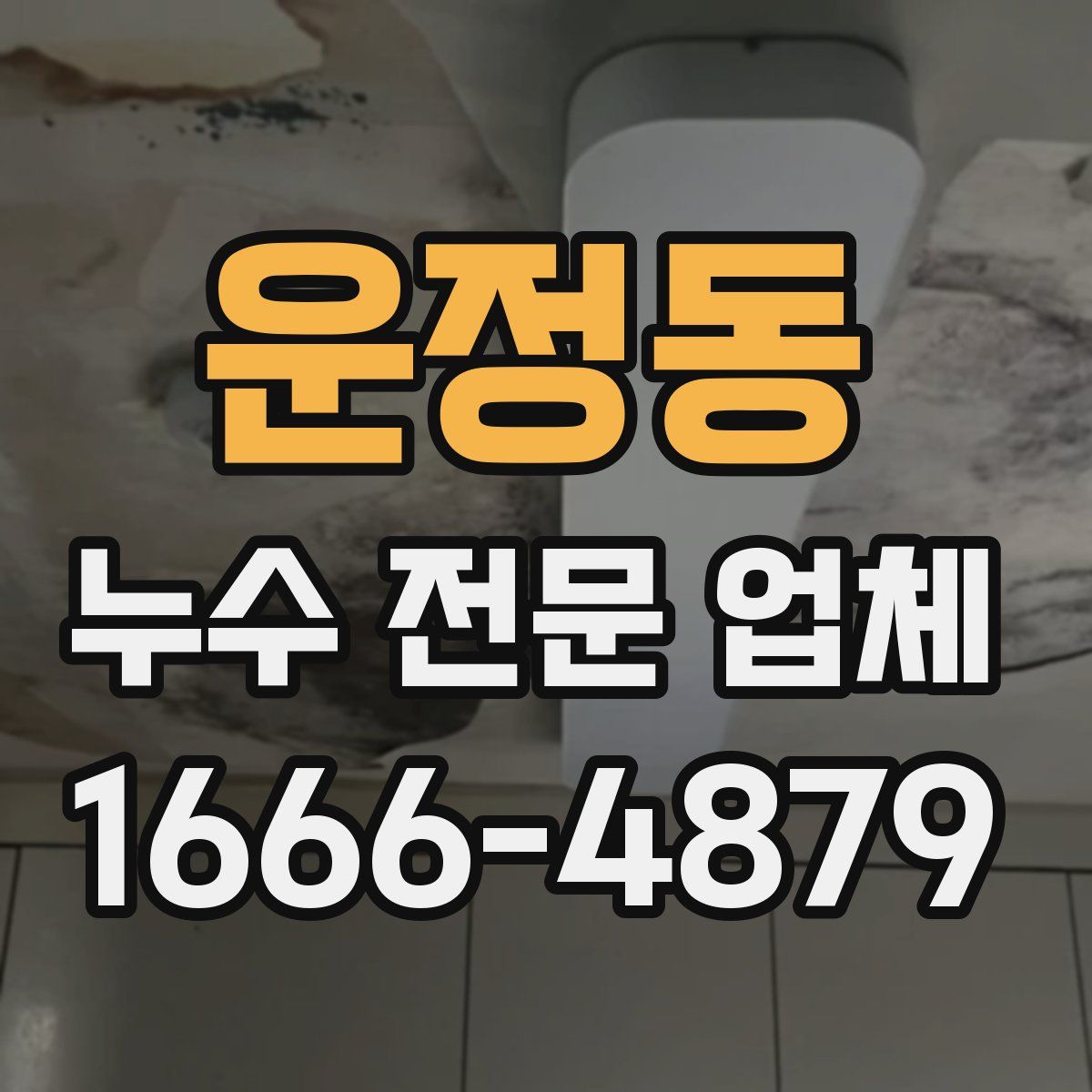 운정동 누수 전문 업체