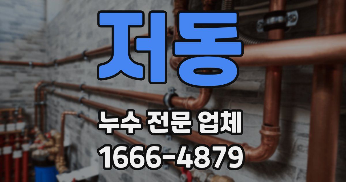 저동 누수 전문 업체