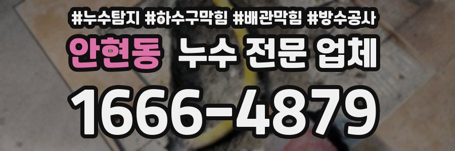 안현동 누수 전문 업체