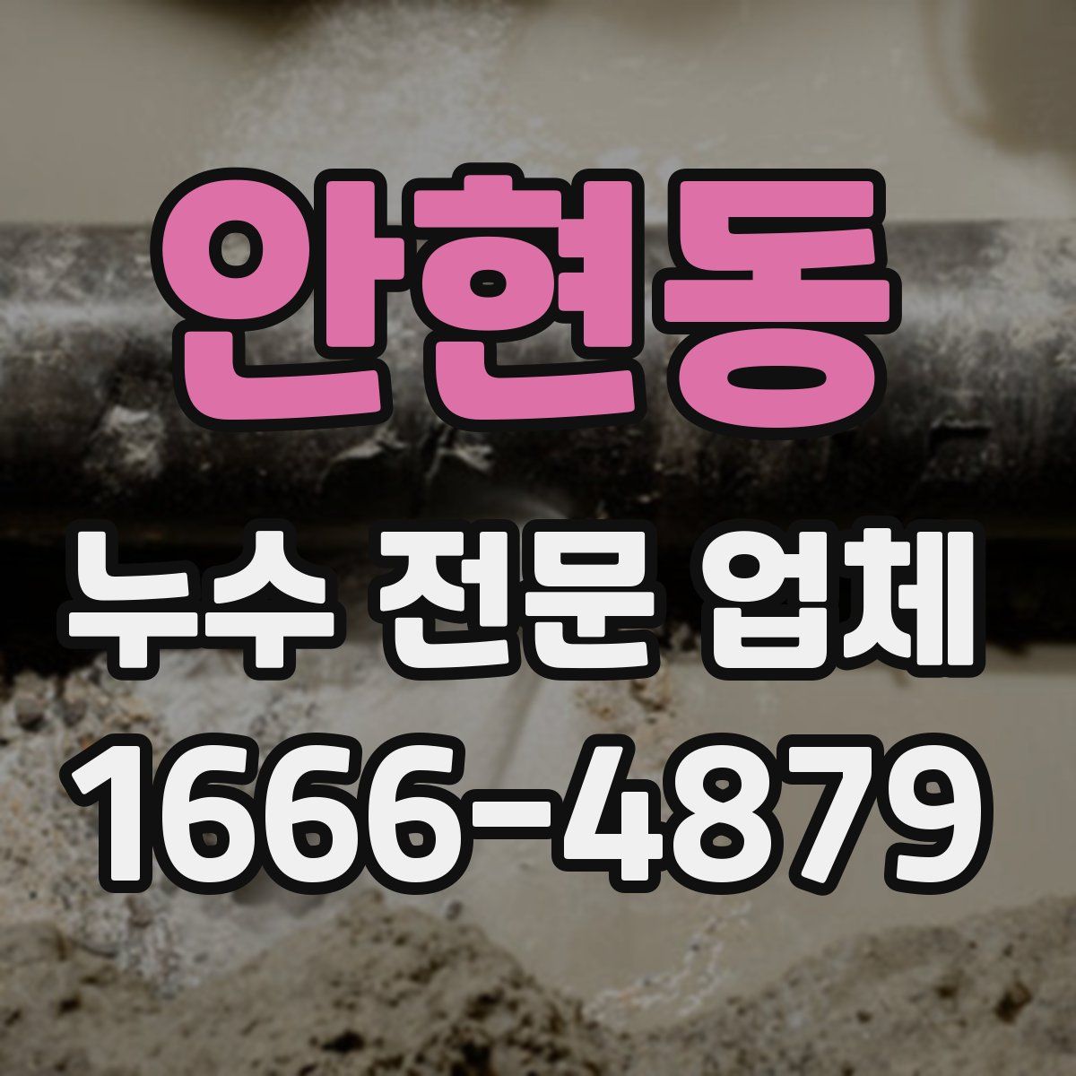안현동 누수 전문 업체