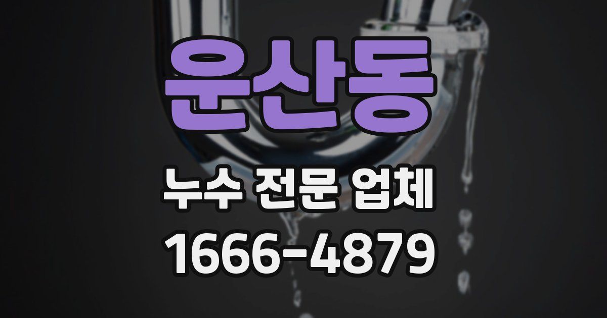 운산동 누수 전문 업체
