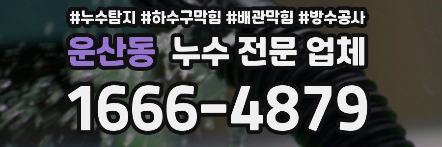 운산동 누수 전문 업체