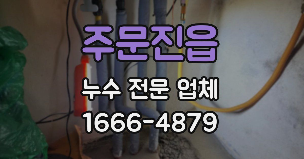 주문진읍 누수 전문 업체