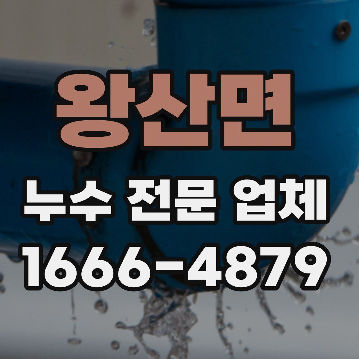 왕산면 누수 전문 업체