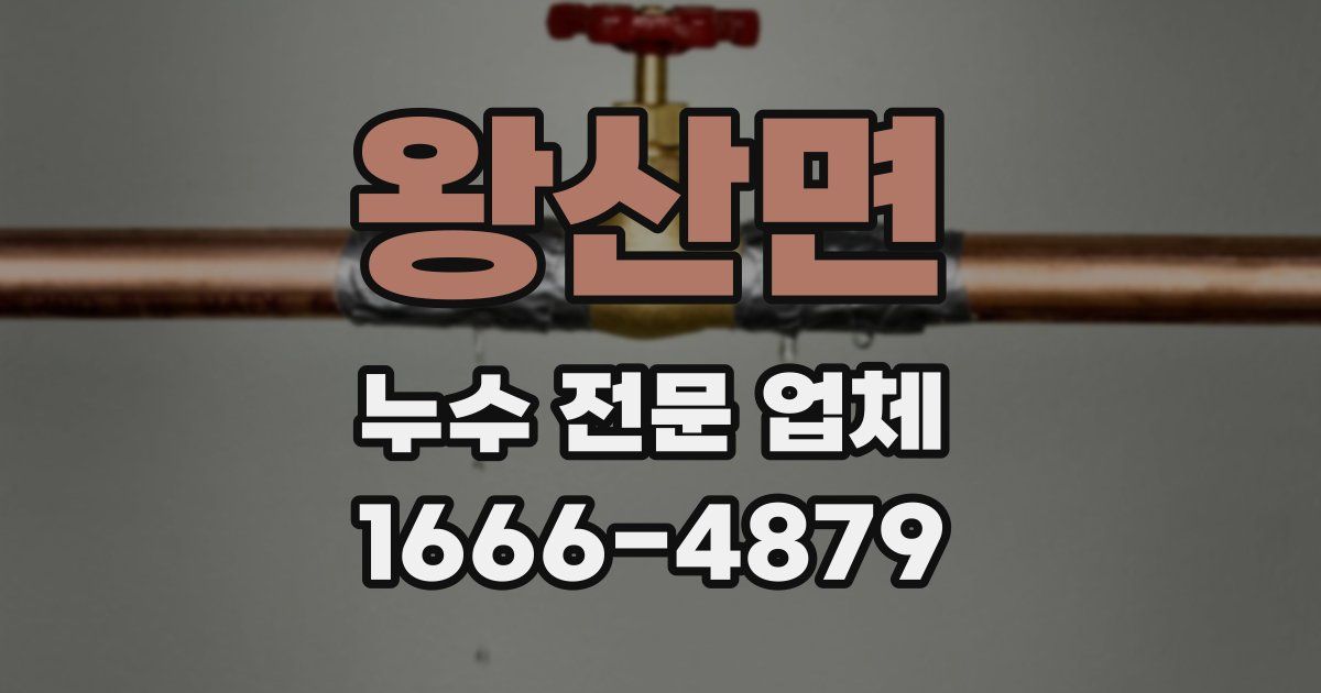 왕산면 누수 전문 업체