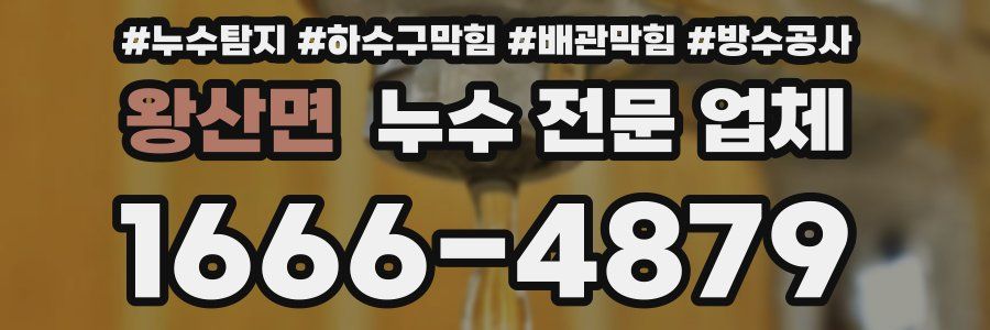 왕산면 누수 전문 업체