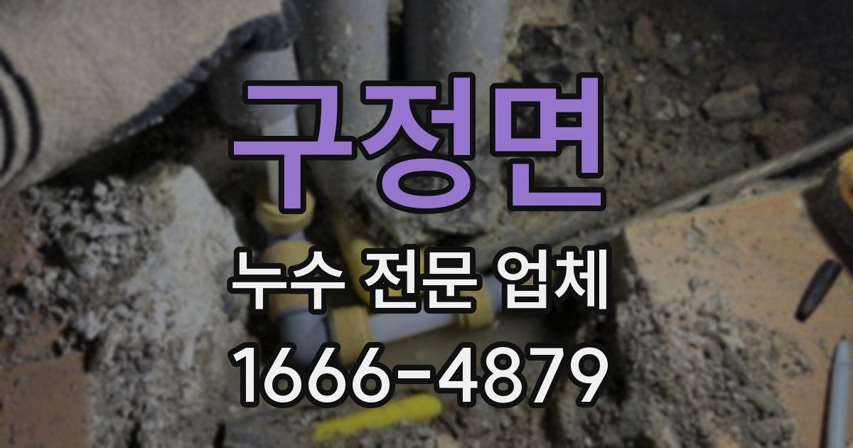 구정면 누수 전문 업체