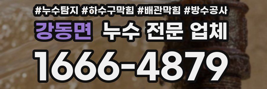 강동면 누수 전문 업체