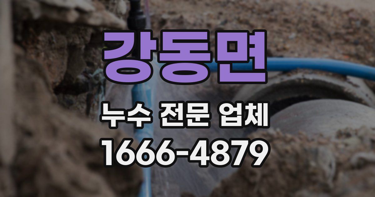 강동면 누수 전문 업체