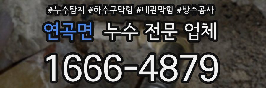 연곡면 누수 전문 업체