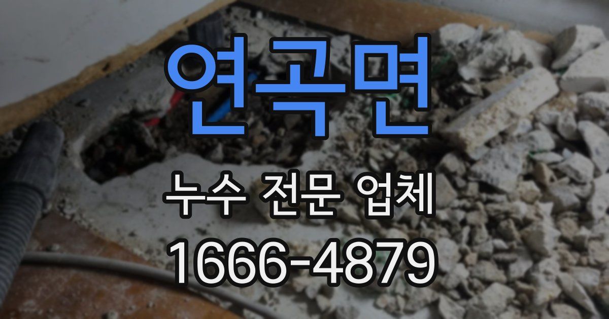연곡면 누수 전문 업체