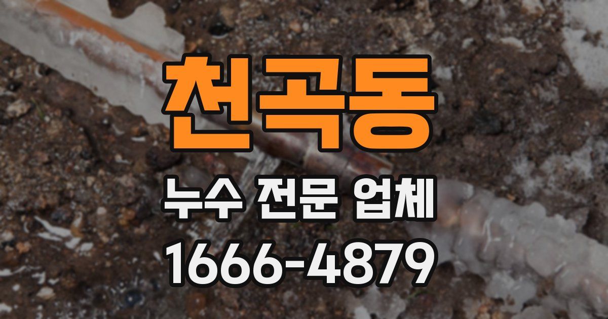 천곡동 누수 전문 업체