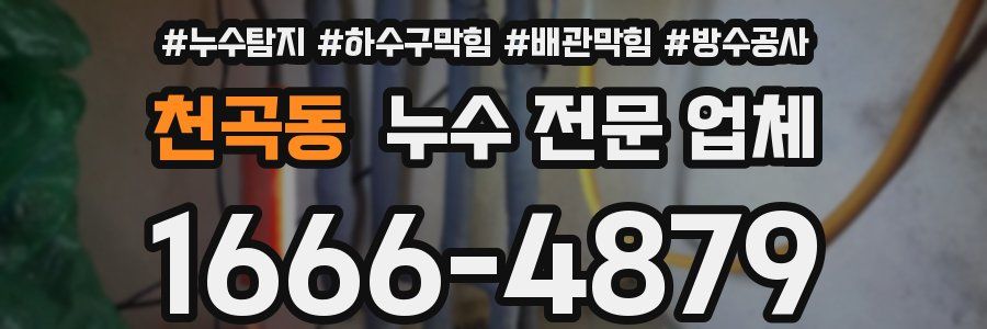 천곡동 누수 전문 업체
