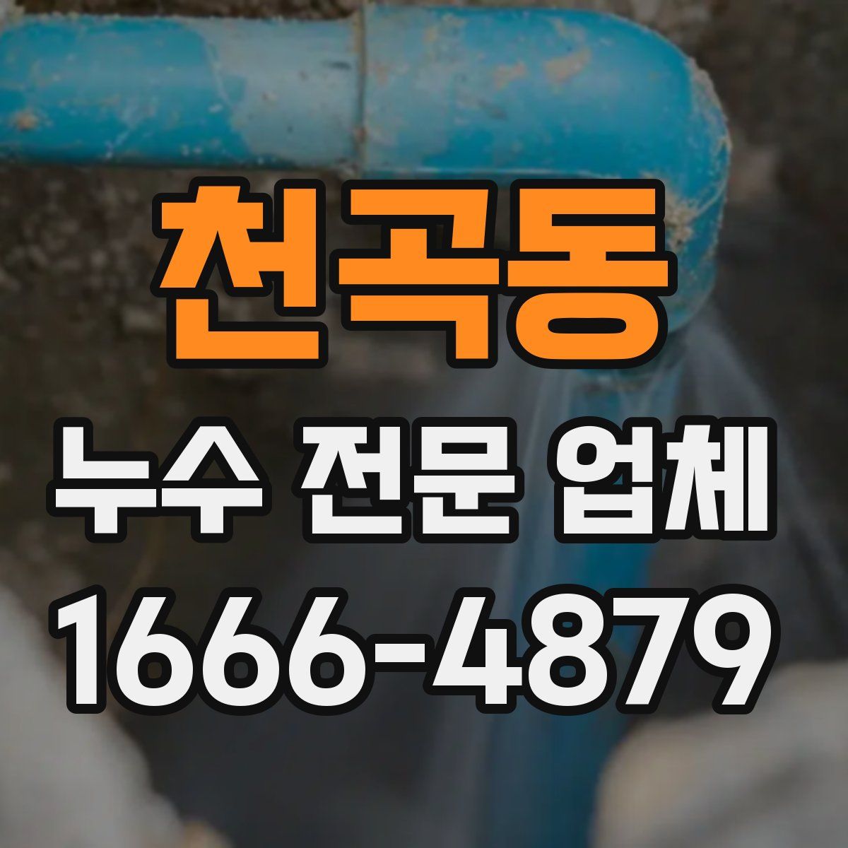 천곡동 누수 전문 업체