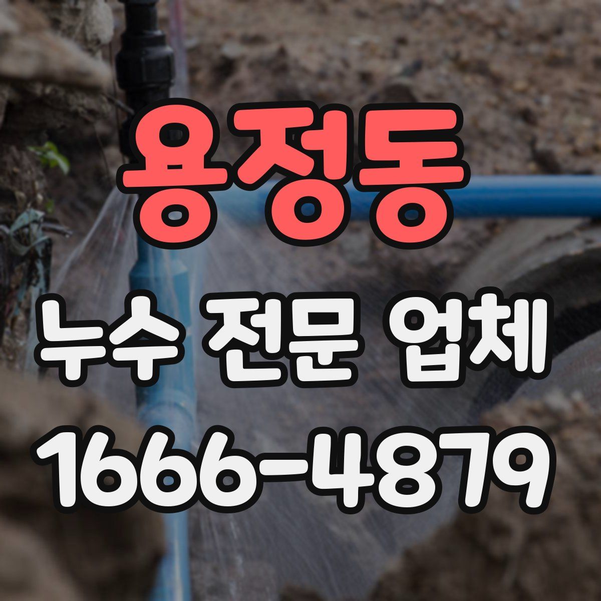 용정동 누수 전문 업체