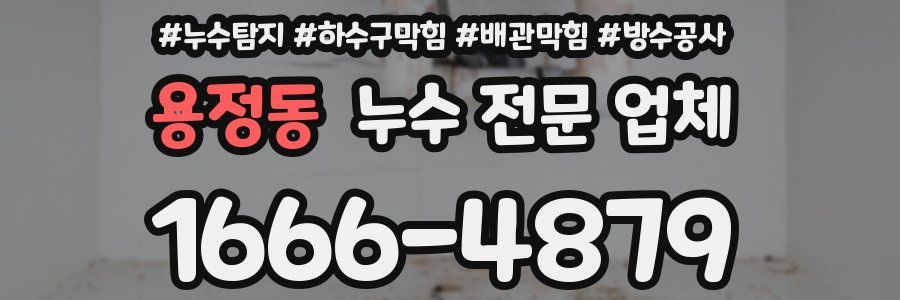 용정동 누수 전문 업체