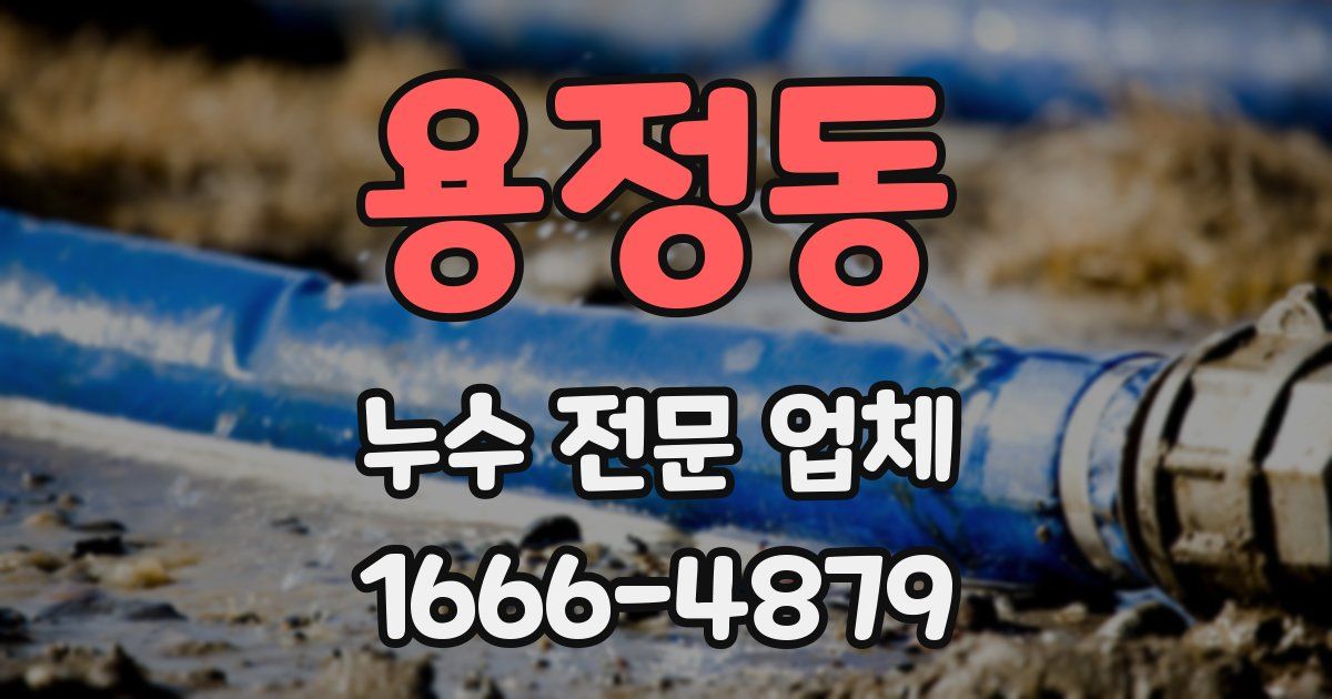 용정동 누수 전문 업체