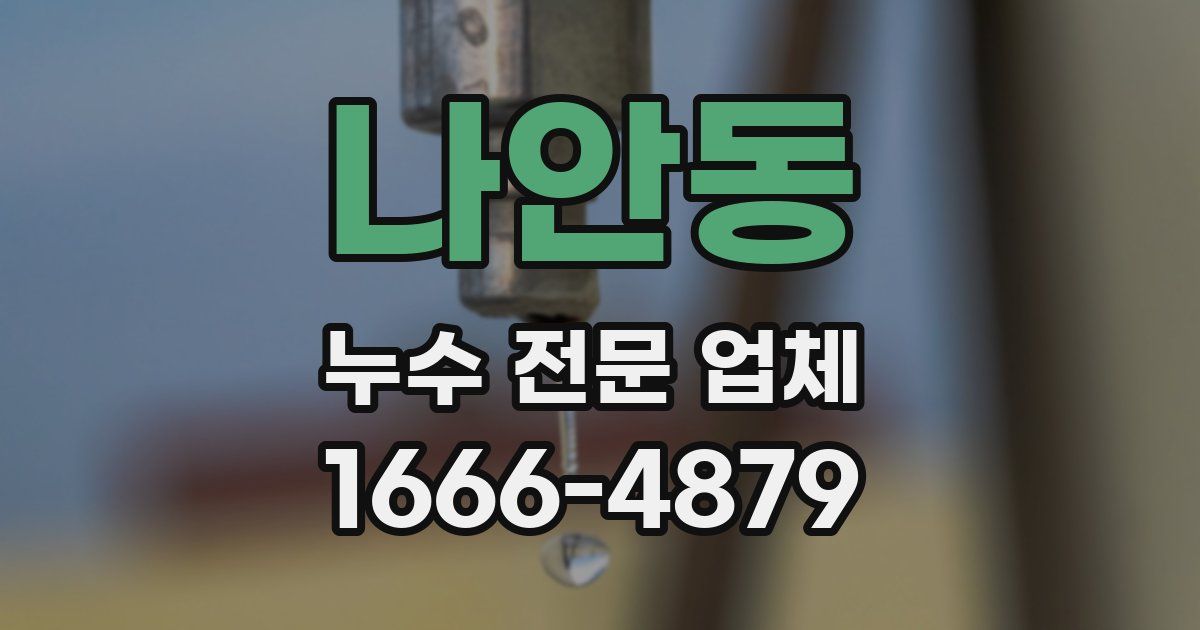 나안동 누수 전문 업체