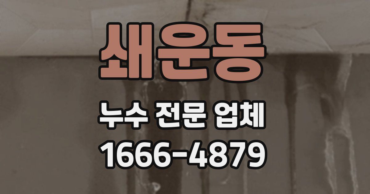 쇄운동 누수 전문 업체