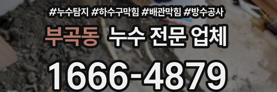 부곡동 누수 전문 업체