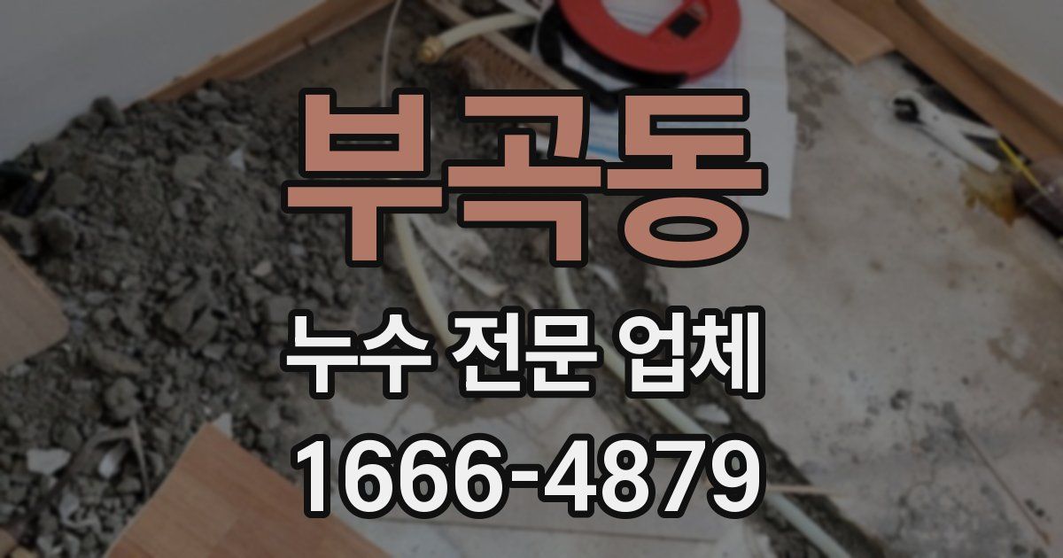 부곡동 누수 전문 업체