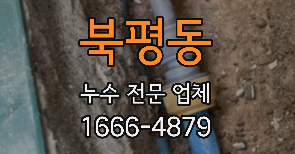 북평동 누수 전문 업체
