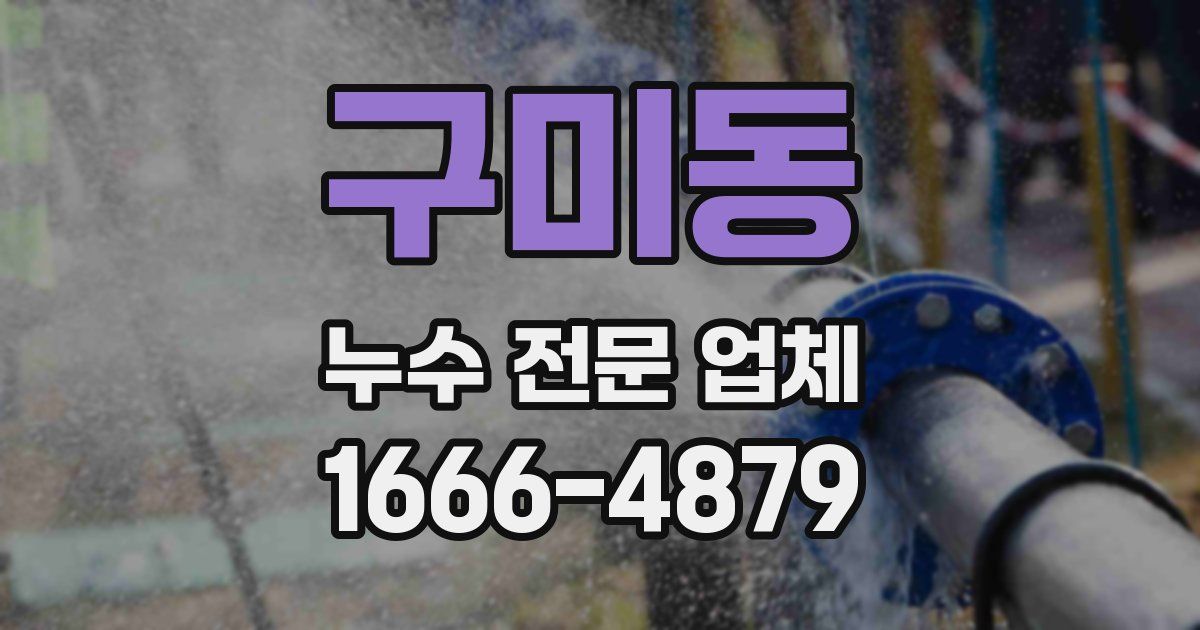 구미동 누수 전문 업체
