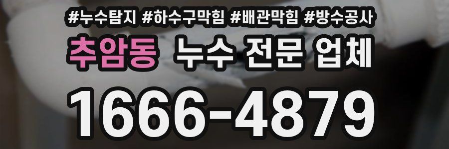 추암동 누수 전문 업체