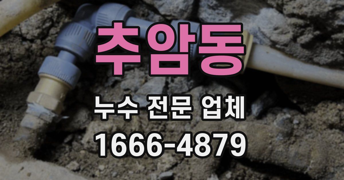 추암동 누수 전문 업체