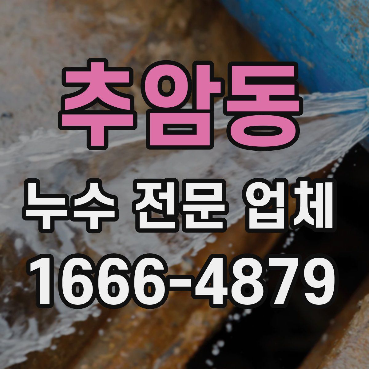 추암동 누수 전문 업체