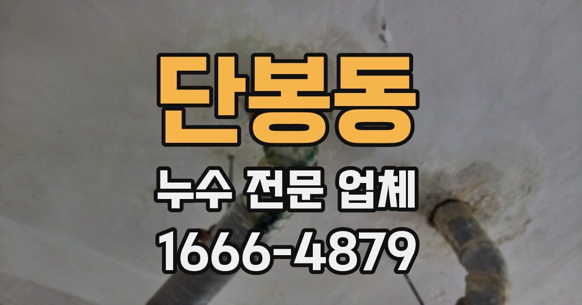 단봉동 누수 전문 업체