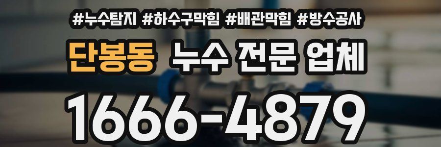단봉동 누수 전문 업체