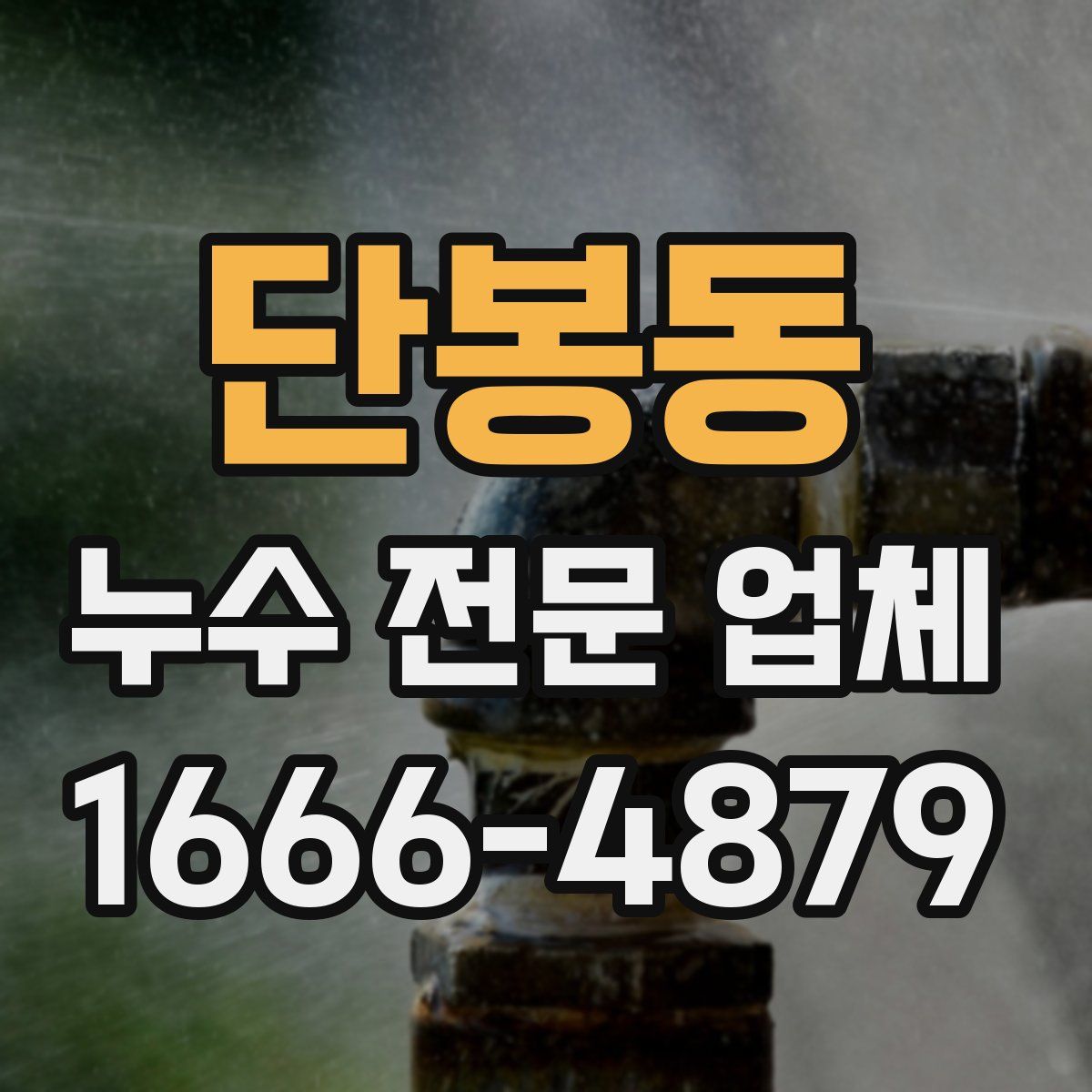 단봉동 누수 전문 업체