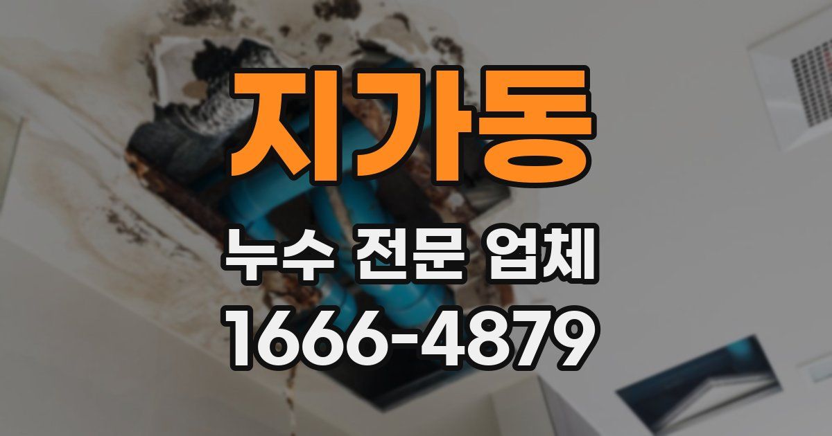 지가동 누수 전문 업체
