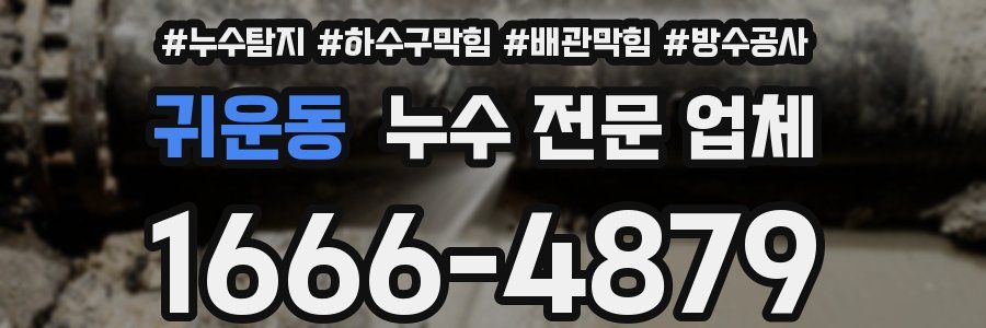 귀운동 누수 전문 업체