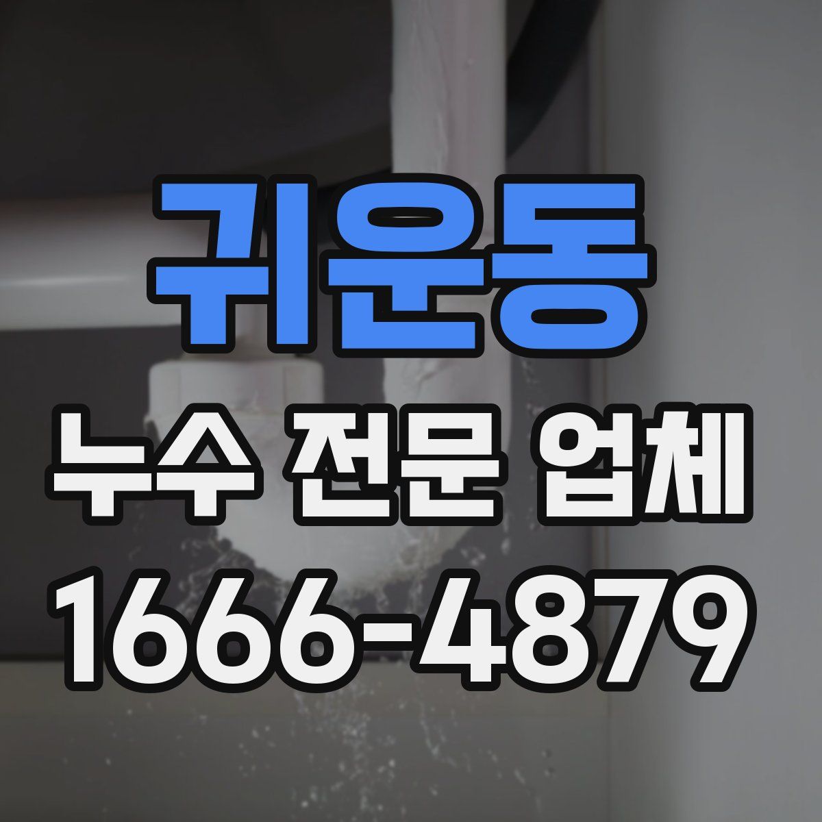 귀운동 누수 전문 업체