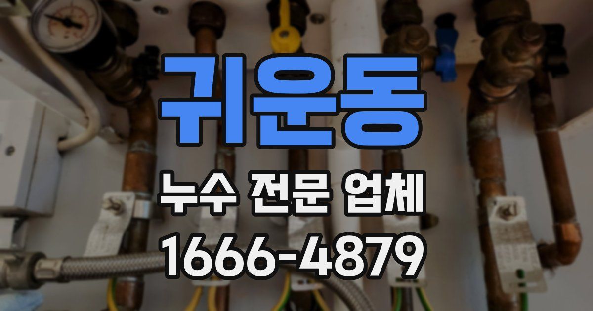 귀운동 누수 전문 업체