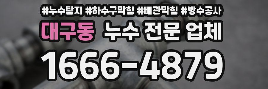대구동 누수 전문 업체