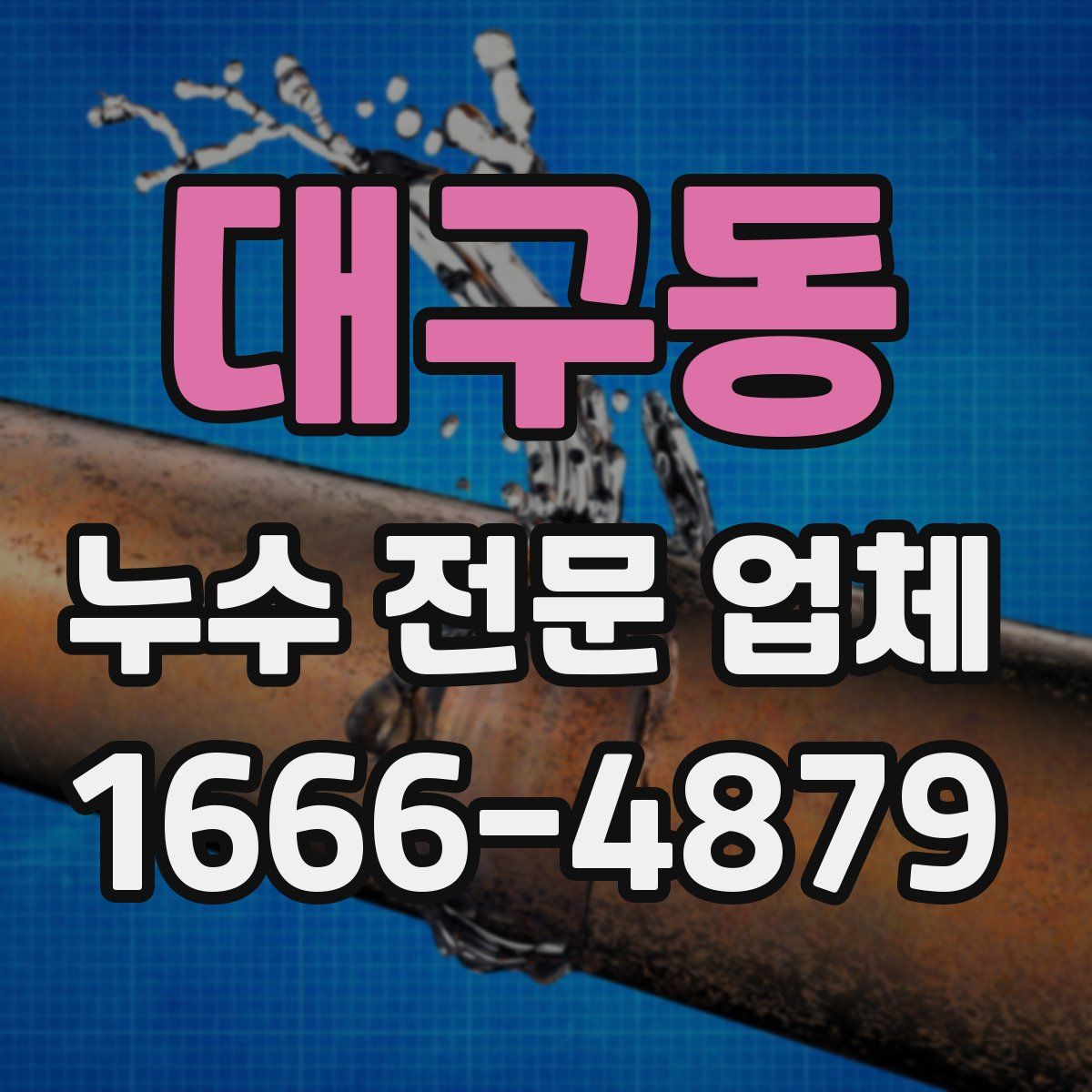 대구동 누수 전문 업체