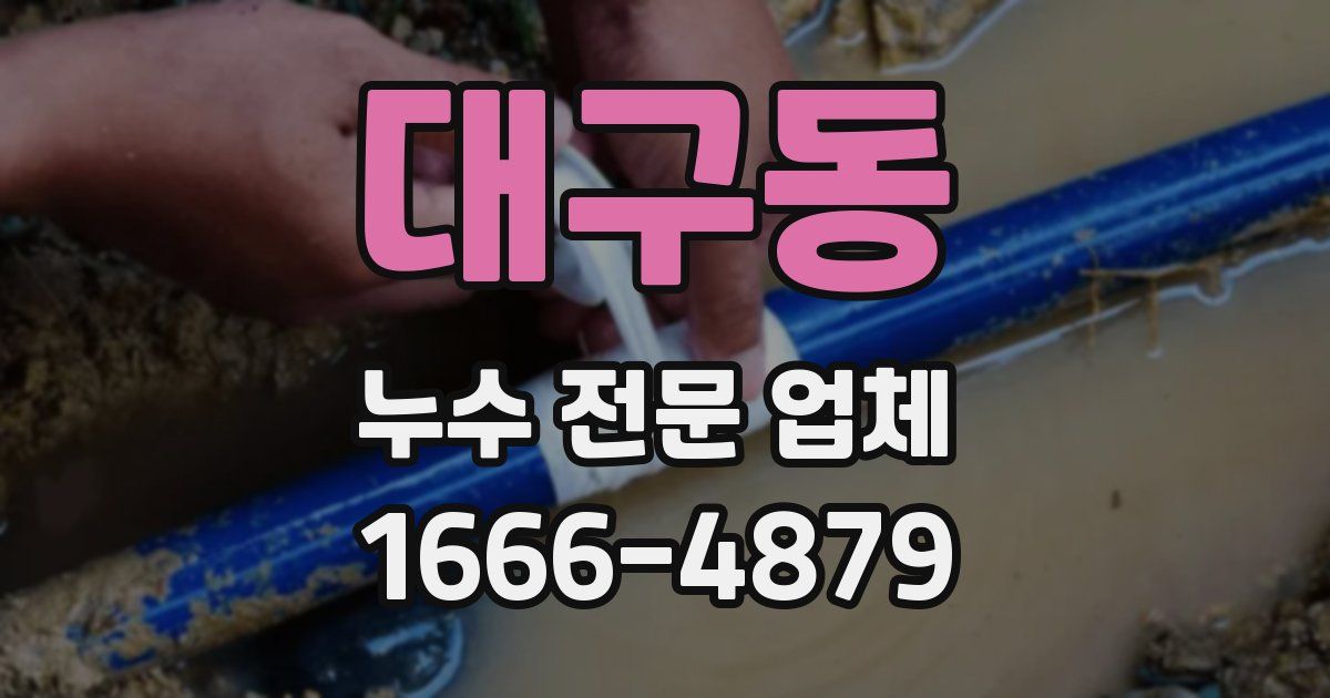 대구동 누수 전문 업체