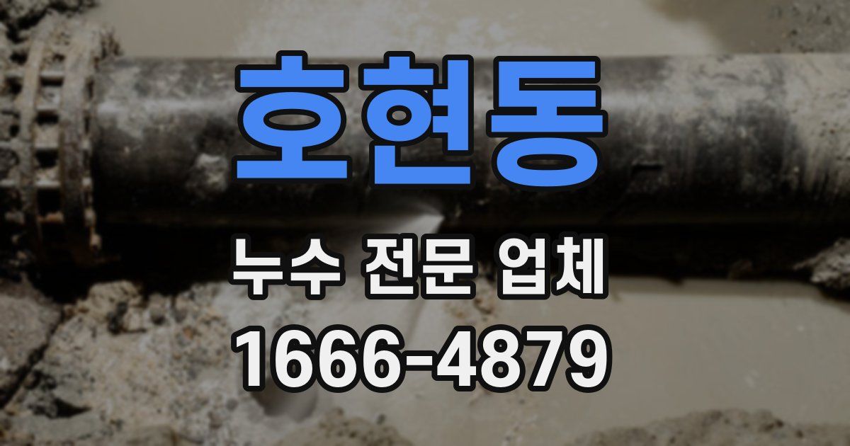 호현동 누수 전문 업체