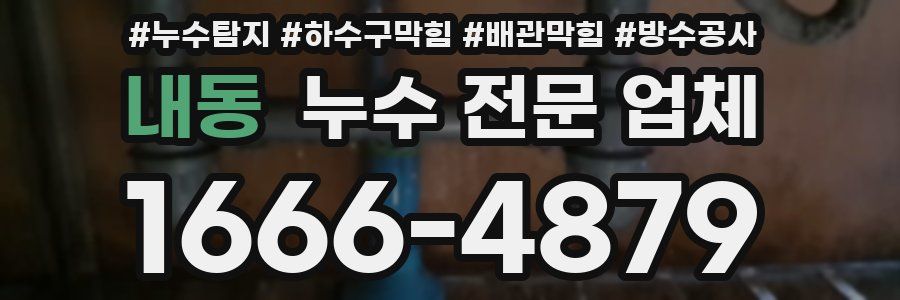 내동 누수 전문 업체