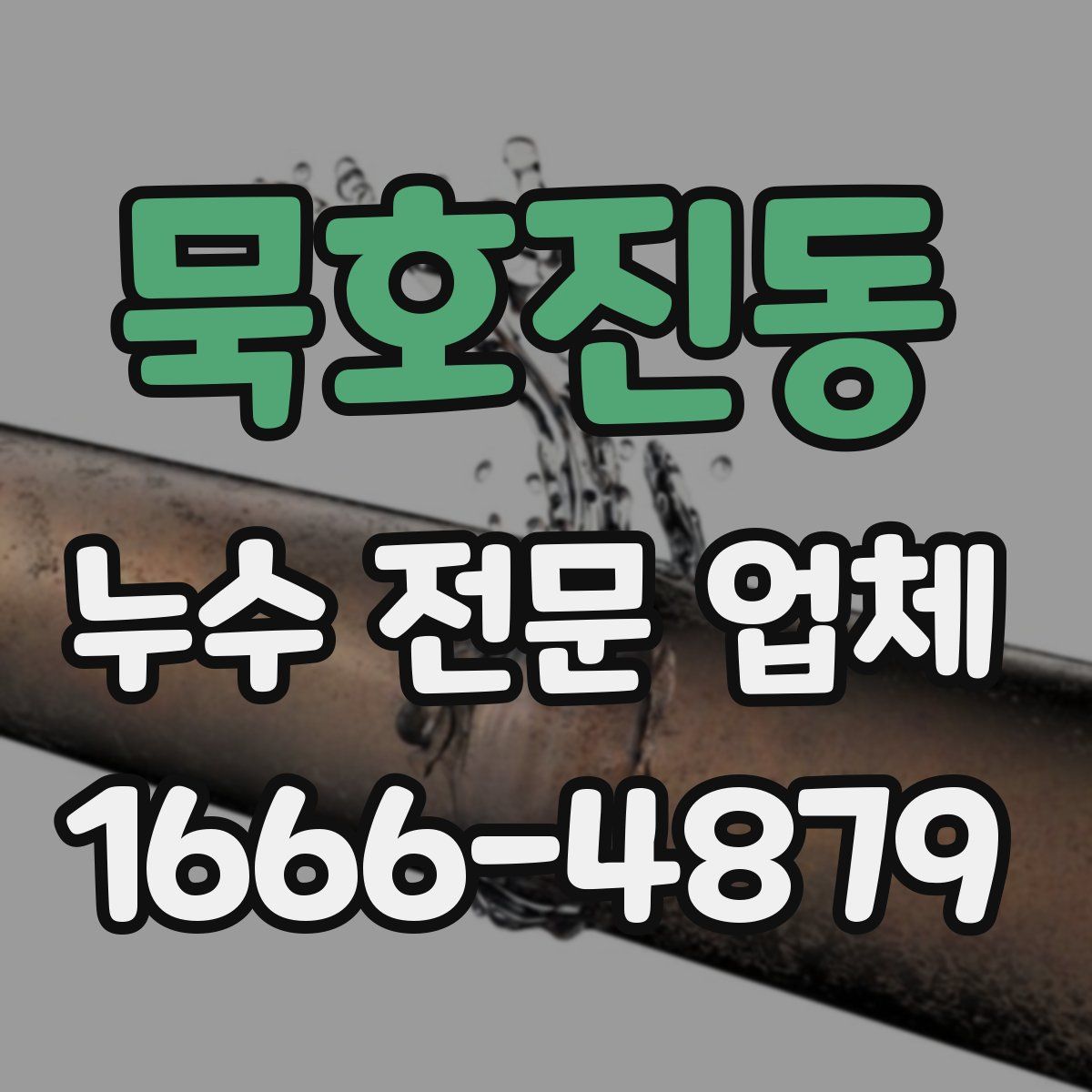 묵호진동 누수 전문 업체