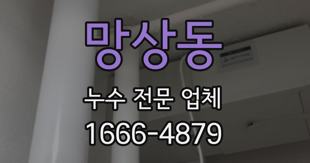 망상동 누수 전문 업체