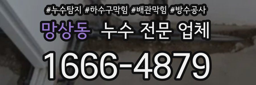망상동 누수 전문 업체