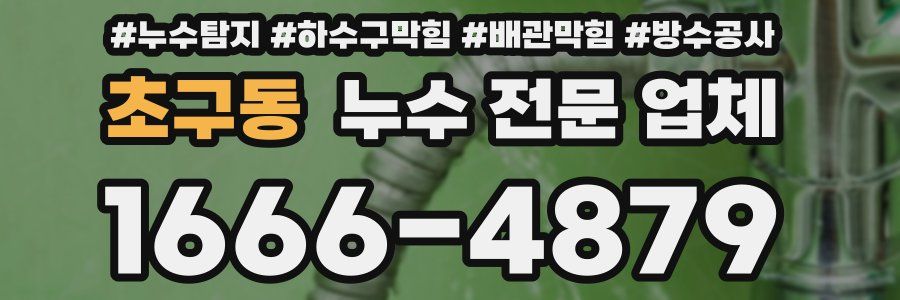 초구동 누수 전문 업체