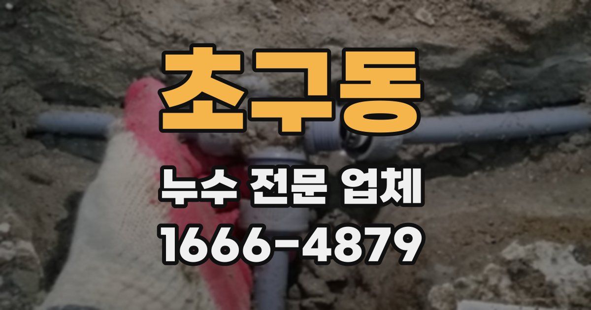 초구동 누수 전문 업체
