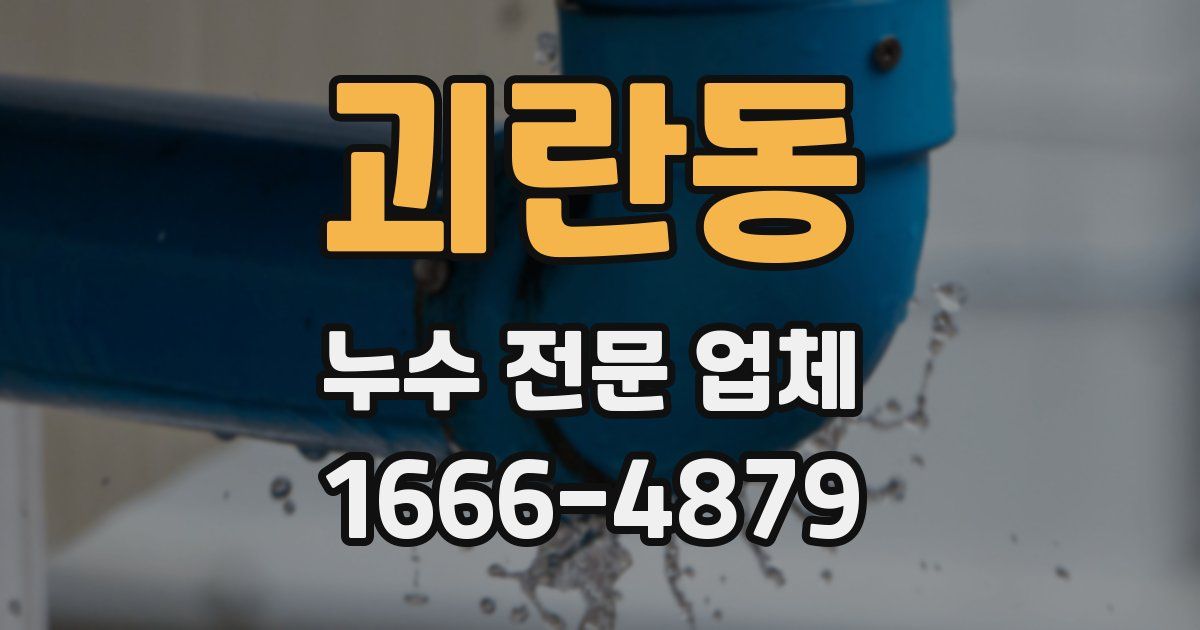 괴란동 누수 전문 업체